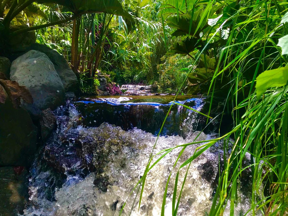 Pequeña cascada entre rocas y plantas del jardín