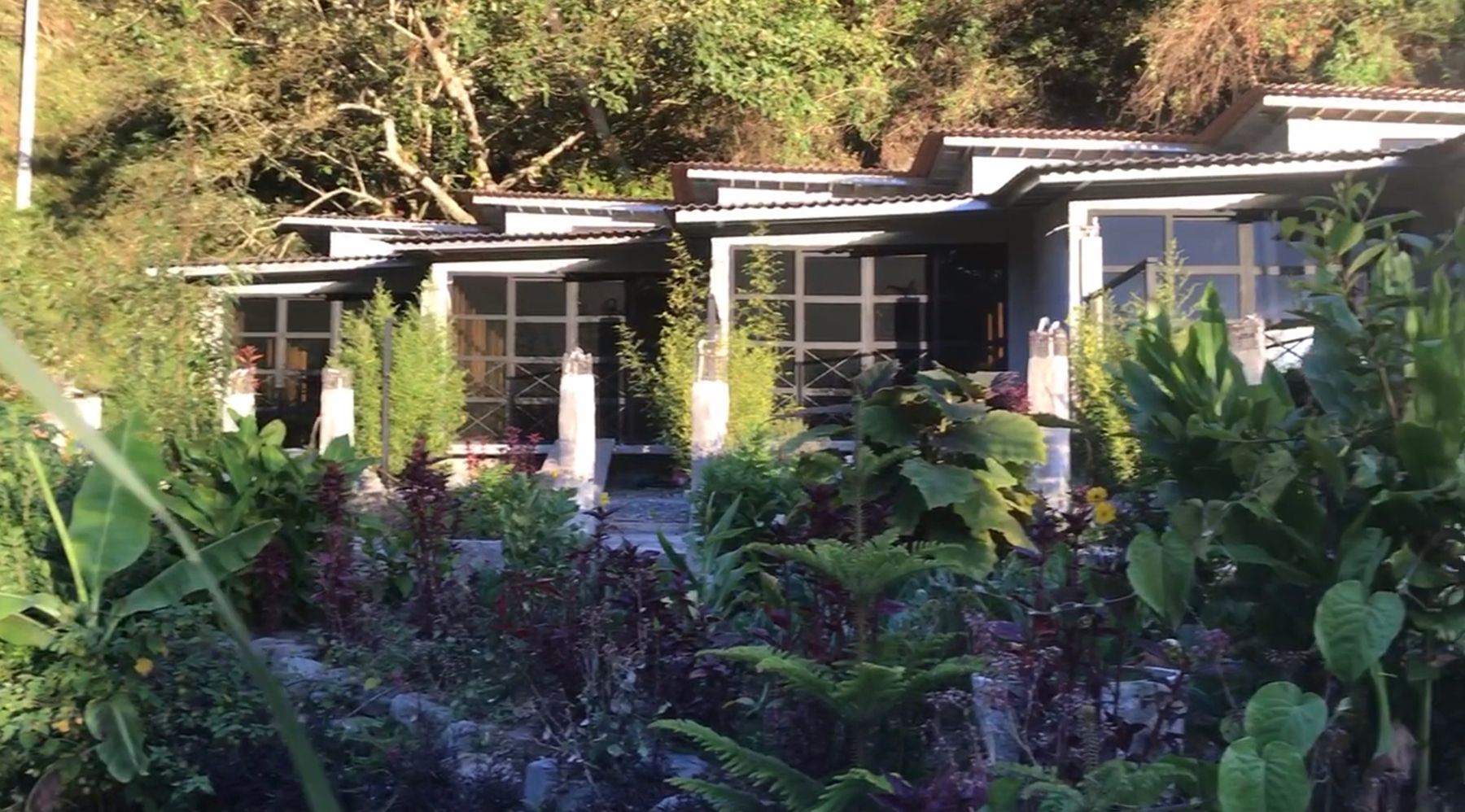 Cabañas del ecolodge rodeadas de jardín y vegetación