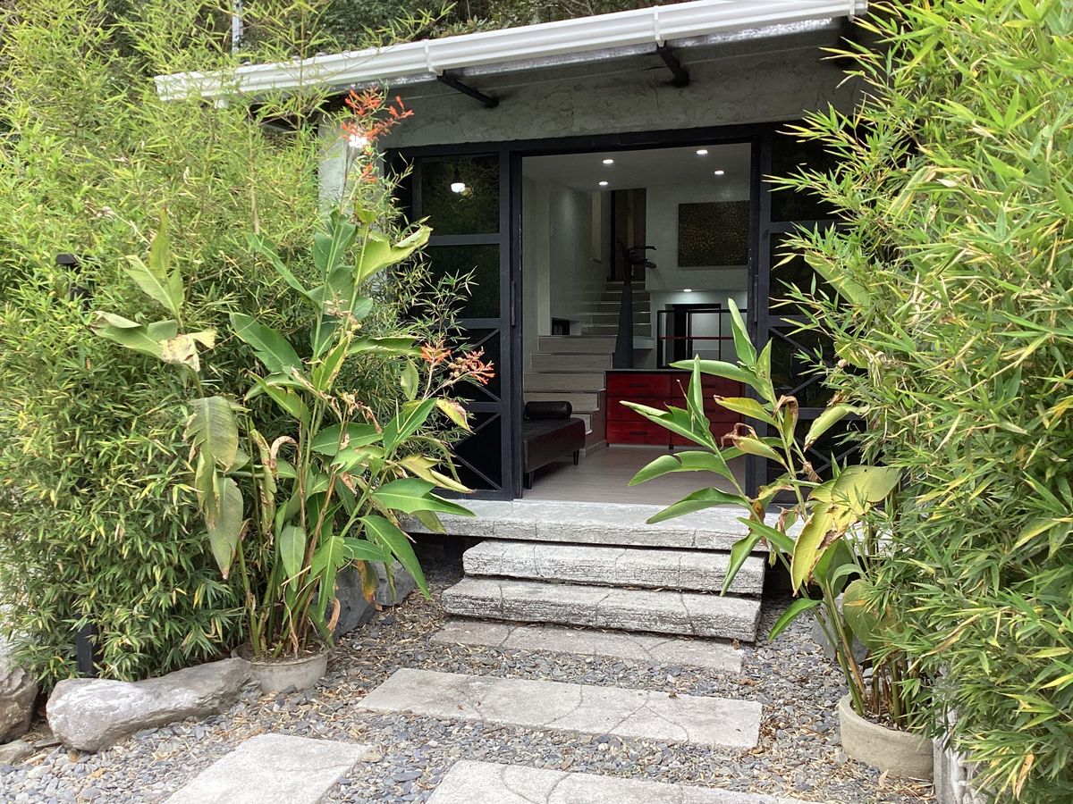 Entrada de una cabaña entre bambú y plantas